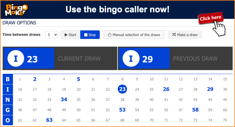 Family bingo online, free for fun